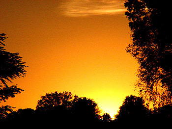 sun's goodbye, golden, trees, ohio, sunset HD wallpaper