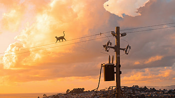 Cat Walking On Powerline , cat, artist, artwork, digital-art, dreamy HD wallpaper