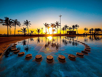 Sunset, palm tree, pool, water HD wallpaper
