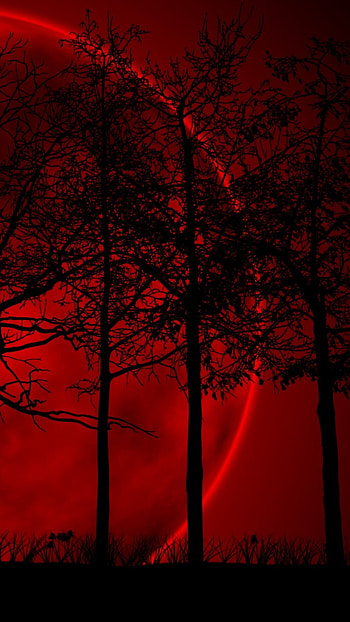 Red Light, Dark Red, Blood Moon HD phone wallpaper