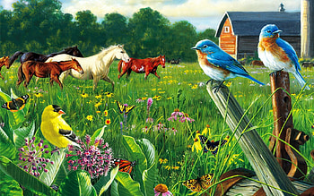 Country Meadow, digital, birds, horses, barn, art, fence, trees, flowers HD wallpaper