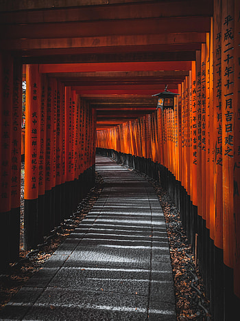 Hieroglyph, Miscellanea, Miscellaneous, Path, Tunnel HD phone wallpaper