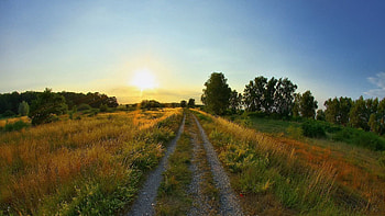 Nature, Sunset, Road, Path, Country, Way, Countryside HD wallpaper
