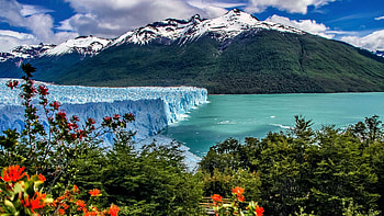 Perito Moreno Glacier, Argentine Andes, trees, landscape, sky, ice, clouds HD wallpaper