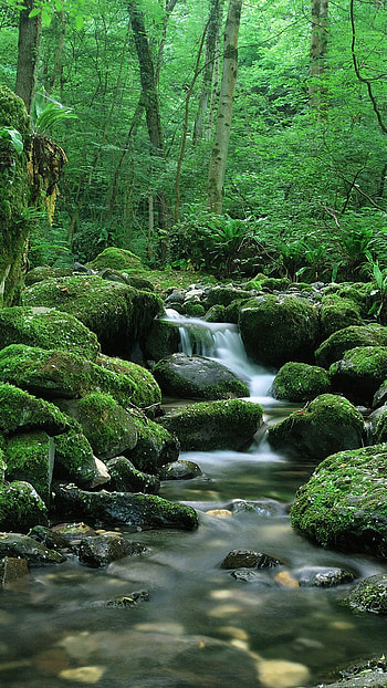 Nature, Stones, Waterfall, Flow, Moss HD phone wallpaper
