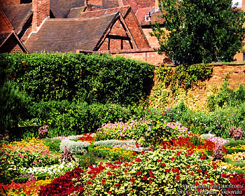 Amazing garden, flower, house, garden, nature, tree HD wallpaper