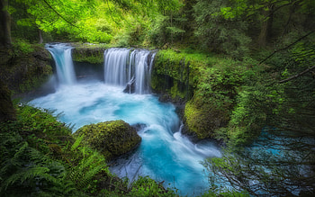 Columbia River Gorge, waterfall, forest, Spirit Falls, Little White Salmon River, mountain river, Washington State, USA HD wallpaper