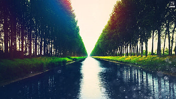 Nature, Rivers, Trees, Shore, Shine, Light, Flow, Shores HD wallpaper