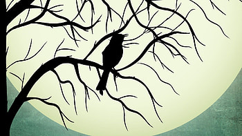 To Kill a Mockingbird, Eloquent adaptation, Scout's perspective, Powerful courtroom scene HD wallpaper