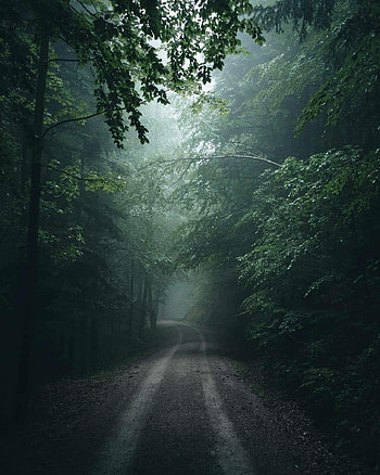 Bayern Germany, atmosphere, natural_landscape HD phone wallpaper