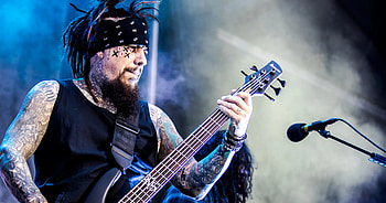 Korn's fieldy, Temporary absence, Time off, Personal reflection HD wallpaper