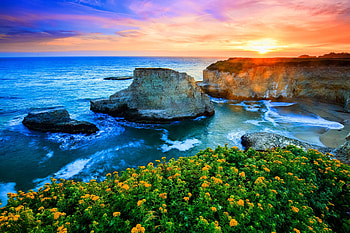 Sunset view, rays, sea, coast, beautiful, rocks, stones, beach, wildflowers, waves, view, sky, sunset HD wallpaper