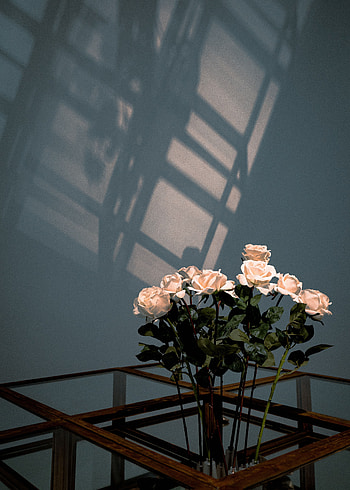 Flowers, Roses, Bouquet HD phone wallpaper