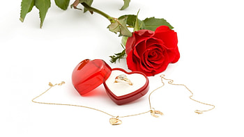 Romantic Love, flowers, ring, love, red HD wallpaper