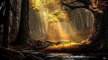 light from the sky, magic, sky, forest, light HD wallpaper