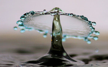 drop, blue, nature, water, raindrop HD wallpaper