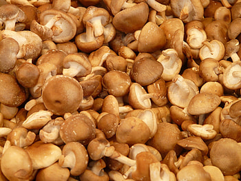 Health benefits of shiitake, Nutritional advantages, Boosting wellness, Anna Lewandowska's expertise HD wallpaper