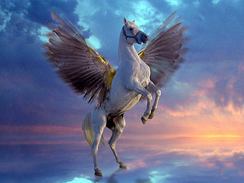 Peasus in the Clouds, wings, horse, winged, clouds, sky HD wallpaper