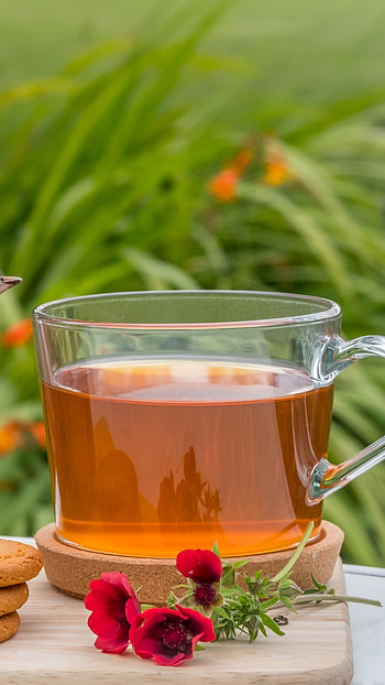 Food tea, Steaming, Relaxation, Aromatic HD phone wallpaper