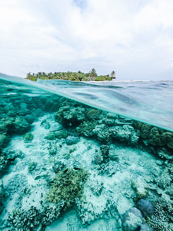 Underwater, sea, surface, tropical island, exotic HD phone wallpaper