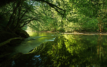 Nature, Rivers, Trees, Grass, Shine, Light HD wallpaper