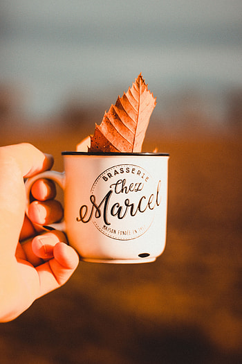 Hand, Miscellanea, Miscellaneous, Cup, Dry, Leaflet, Mug HD phone wallpaper