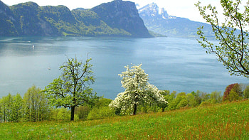 Nature, Grass, Mountains, Lake HD wallpaper