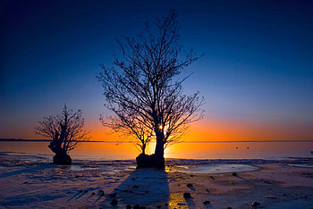 Beautiful Sunset, cool, beautiful, , sunset HD wallpaper