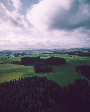 Nature, Trees, Sky, View From Above, Field HD phone wallpaper