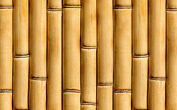vertical bamboo sticks, close-up, brown bamboo trunks, macro, bamboo textures, brown bamboo texture, bamboo canes, horizontal bamboo texture, bamboo, bamboo sticks, bambusoideae sticks HD wallpaper