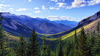 Sulphur Skyline Ridge, Jasper National Park, Alberta, sky, forest, landscape, trees, clouds, canada HD wallpaper