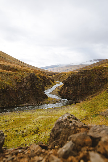 Nature, Stones, Greens, Hills, Moss, Sinuous, Winding, Creek, Brook HD phone wallpaper
