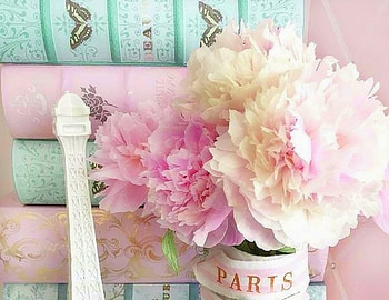 ✿⊱•╮Chic Peonies╭•⊰✿, beloved valentines, graphy, peonies, paris, lovely still life, still life, love four seasons, books, pink, nature, flowers, chic HD wallpaper