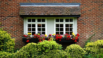 Brick cottage window adorned with vibrant flower box in lush garden setting. HD wallpaper