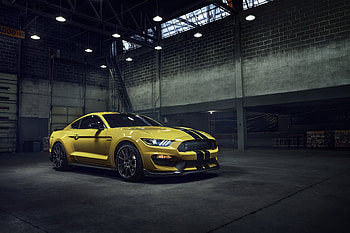 Ford Mustang GT350 2021, ford-mustang, ford, cars HD wallpaper