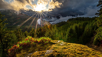 White Pass, Cascade Range, Washington, clouds, landscape, trees, sky, rocks, sun, usa, sunrise HD wallpaper
