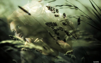 She has hidden between the plants, plants, fantasy, art, girl, gras, woman HD wallpaper