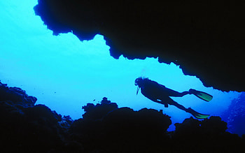 Diving sports, backgrounds, Thrilling dives, Aquatic adrenaline HD wallpaper