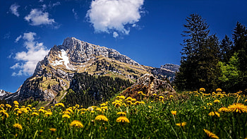 Altmann Mountain, Toggenburg, Switzerland, landscape, clouds, flowers, meadow, sky, alps, dandelions, rocks, spring HD wallpaper
