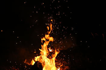 Mesmerizing campfire flames and sparks against a dark nighttime backdrop. HD wallpaper