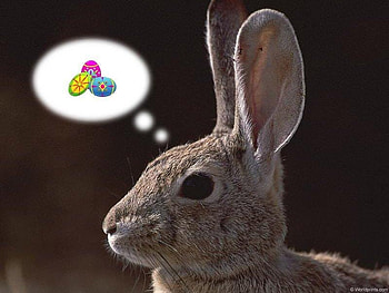 Thinking, bunny, easter, eggs, collage HD wallpaper