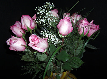 Flowers, Roses, Bouquet, Gypsophilus, Gipsophile, Vase HD wallpaper