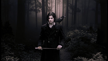 MYSTERIOUS..., raven, fog, man, young, forest, handsome, dark HD wallpaper