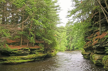 Going Through, trees, river, sky, water HD wallpaper