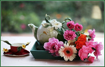 garden tea time, still life, tea time, garden, nature, flowers HD wallpaper