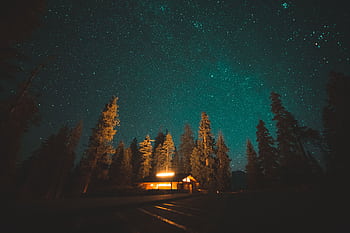 A serene night scene captures a cozy cabin nestled in a starry sky among tall trees. HD wallpaper