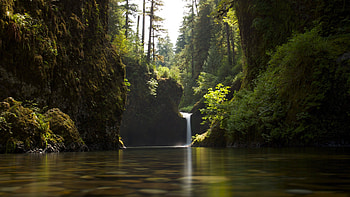 deep in a forest, fun, waterfall, cool, nature, forest HD wallpaper