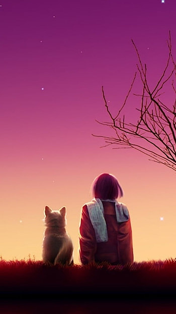 Friendship Whatsapp, Beautiful, Night Nature HD phone wallpaper