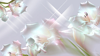 Perfection, firefox persona, soft, stars, pink, bright, pearl, lavender, shine, flowers HD wallpaper