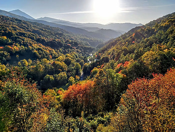 Autumn landscape, Road, Mountains, Colors, Sunshine HD wallpaper